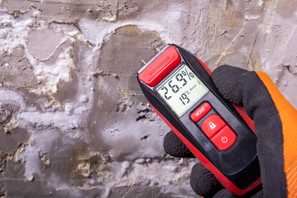 Best Mold Removal Company Near Me  in Glen Rock, NJ