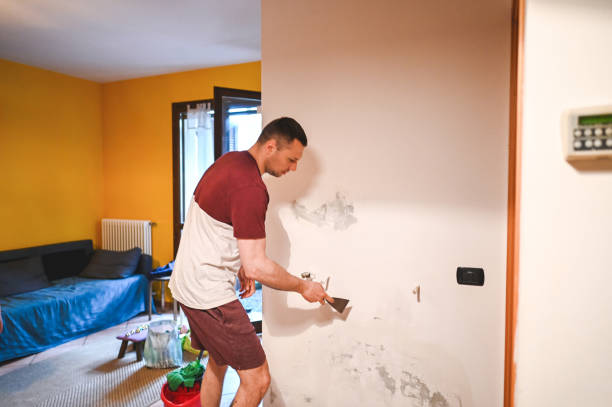 Best Mold Removal and Inspection  in Glen Rock, NJ