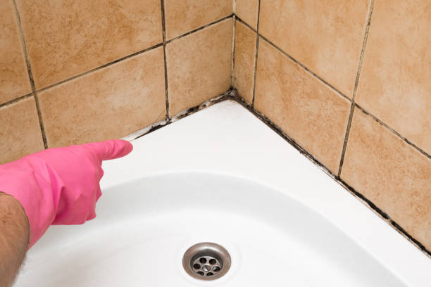 Best Crawl Space Mold Removal  in Glen Rock, NJ